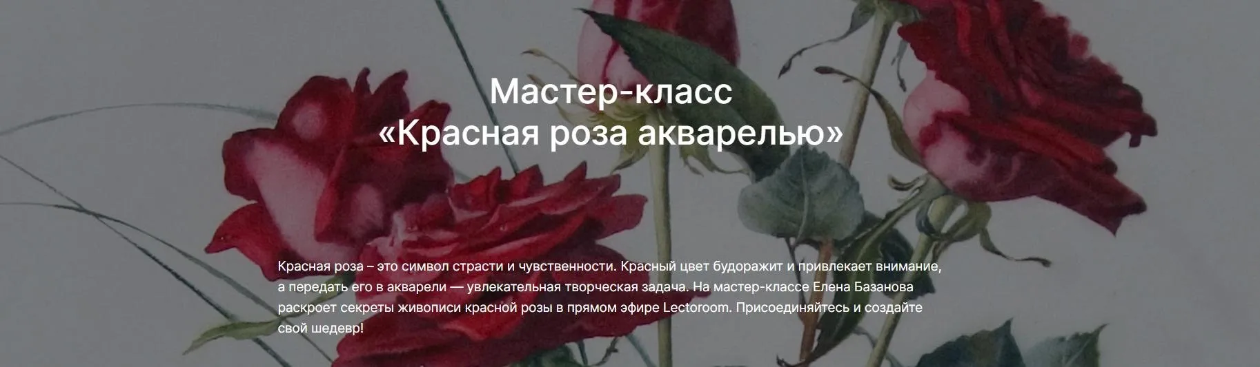 [lectoroom]  Красная роза акварелью (Елена Базанова)