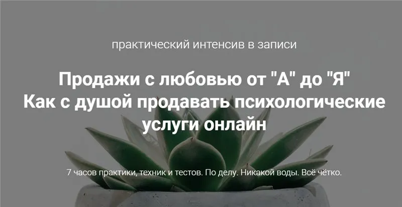 Продажи с любовью от А до Я (Ирина Хмелевская)