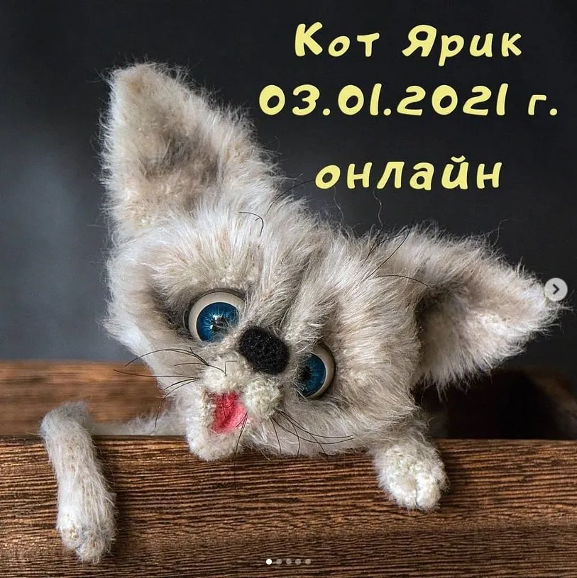 Кот Ярик (Светлана Перцева)