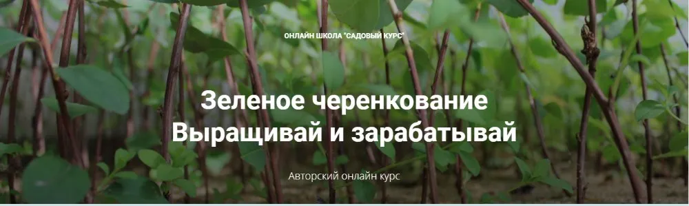 [Садовый Курс] Зеленое черенкование (Ольга, Николай Владимирович)