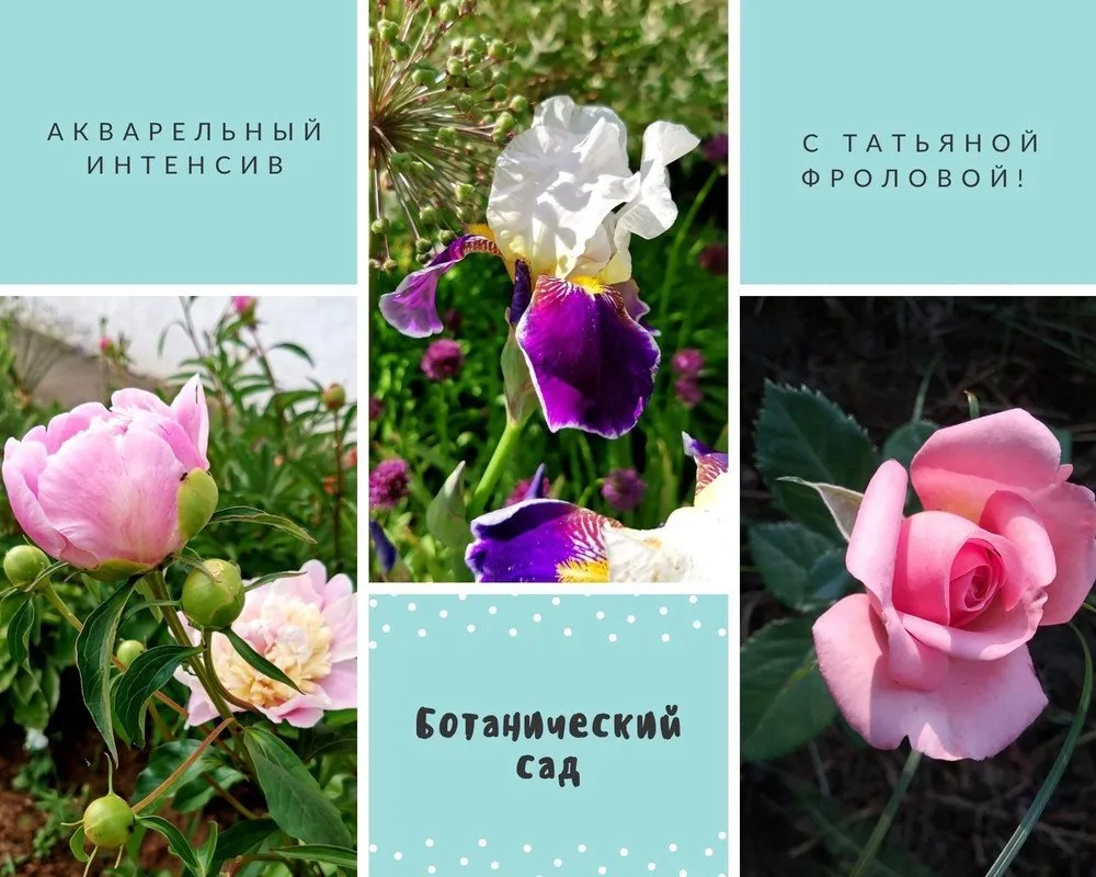 [Грандъ Живопись] Ботанический сад (Татьяна Фролова)
