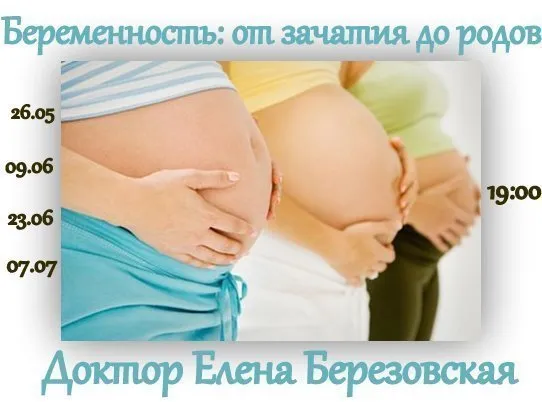 Запись цикла вебинаров «Беременность: от зачатия до родов» (Елена Березовская)