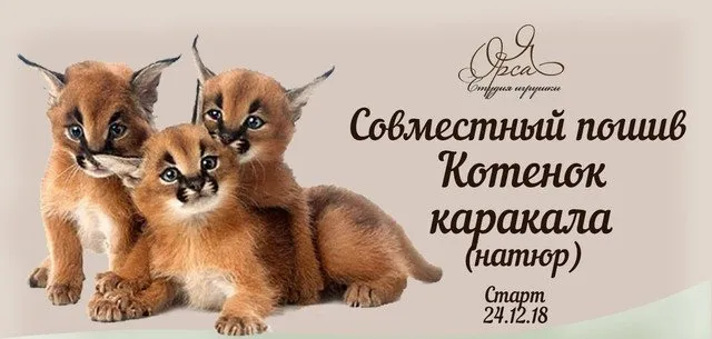 Совместный пошив «Котенок каракала» (Янина Орса)