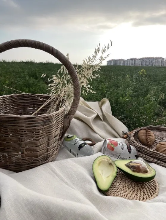 Корзина с крышкой-поднос (Ольга Оболенская)
