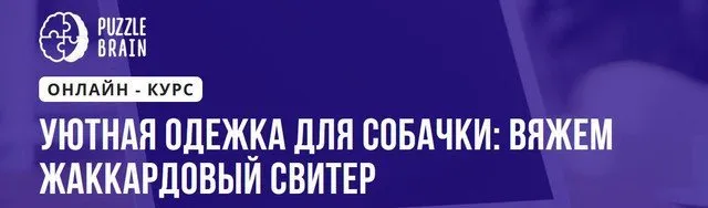 [Puzzlebrain] Уютная одежка для собачки: вяжем жаккардовый свитер (Анастасия Крайнюкова)