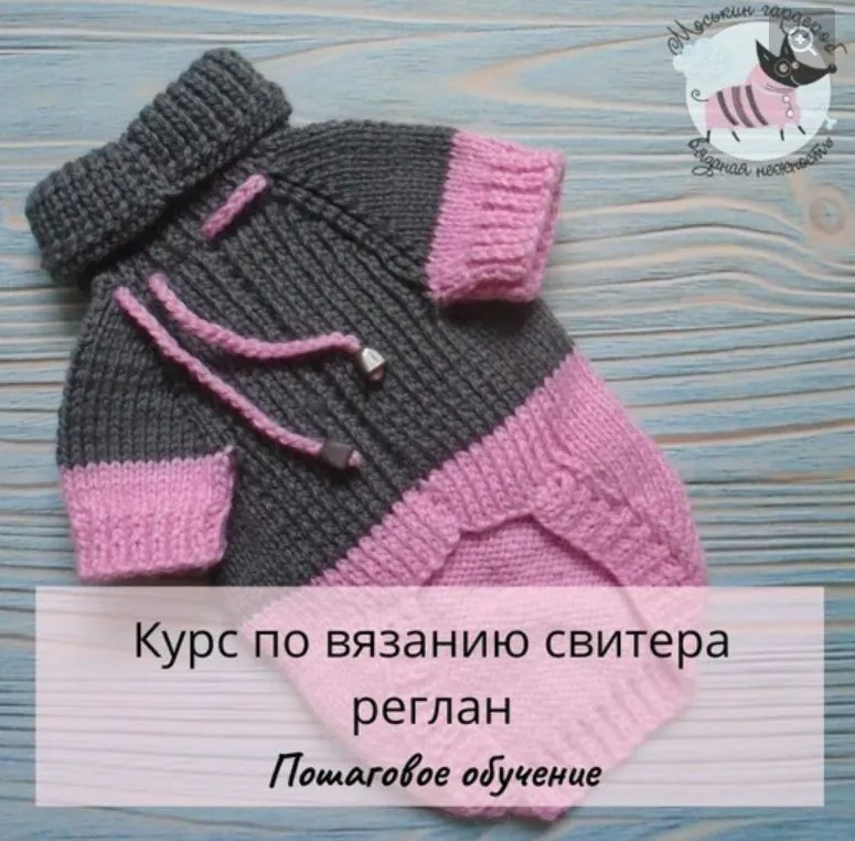 [Моськин гардероб] Вязание свитера реглан питомцу