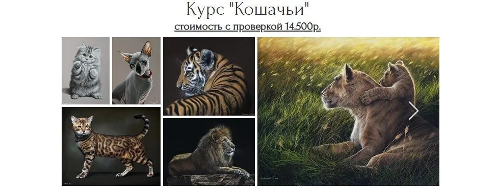 Кошачьи (Юлия Дубинина)