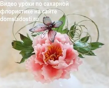 [сладость] Сахарные цветы в английской технике. Пион и бабочка (Анна Галич)