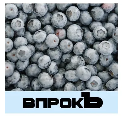 Впрокъ. Справочник по заготовкам (Лена Козырь)
