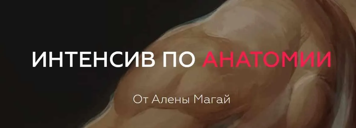 [ArtistHunt School] Интенсив по анатомии (Алена Магай)