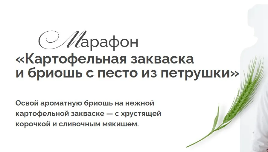 Картофельная закваска и бриошь с песто из петрушки. Тариф Самостоятельный (Ольга Войнова)
