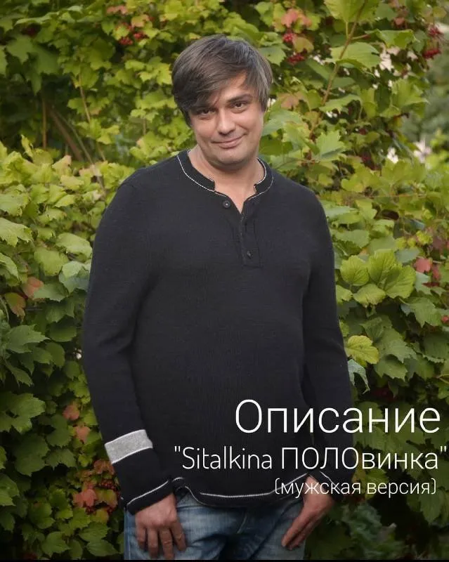 Джемпер/Футболка ПОЛОвинка мужская версия (sitalkina)