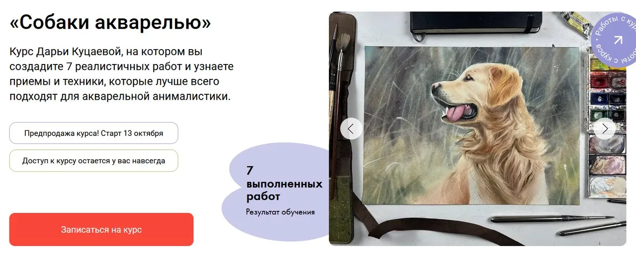[Художник онлайн] Собаки акварелью. Тариф Собаки акварелью без обратной связи (Дарья Куцаева)