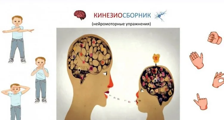 [logopedgalinaby] ЛогоКурс Кинезиосборник (нейромоторные упражнения)