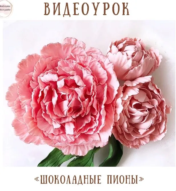 Видеоурок «Шоколадные пионы» (Екатерина Завирюха)