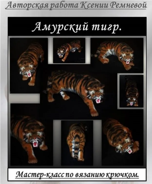 Амурский тигр (Ксения Ремнева)