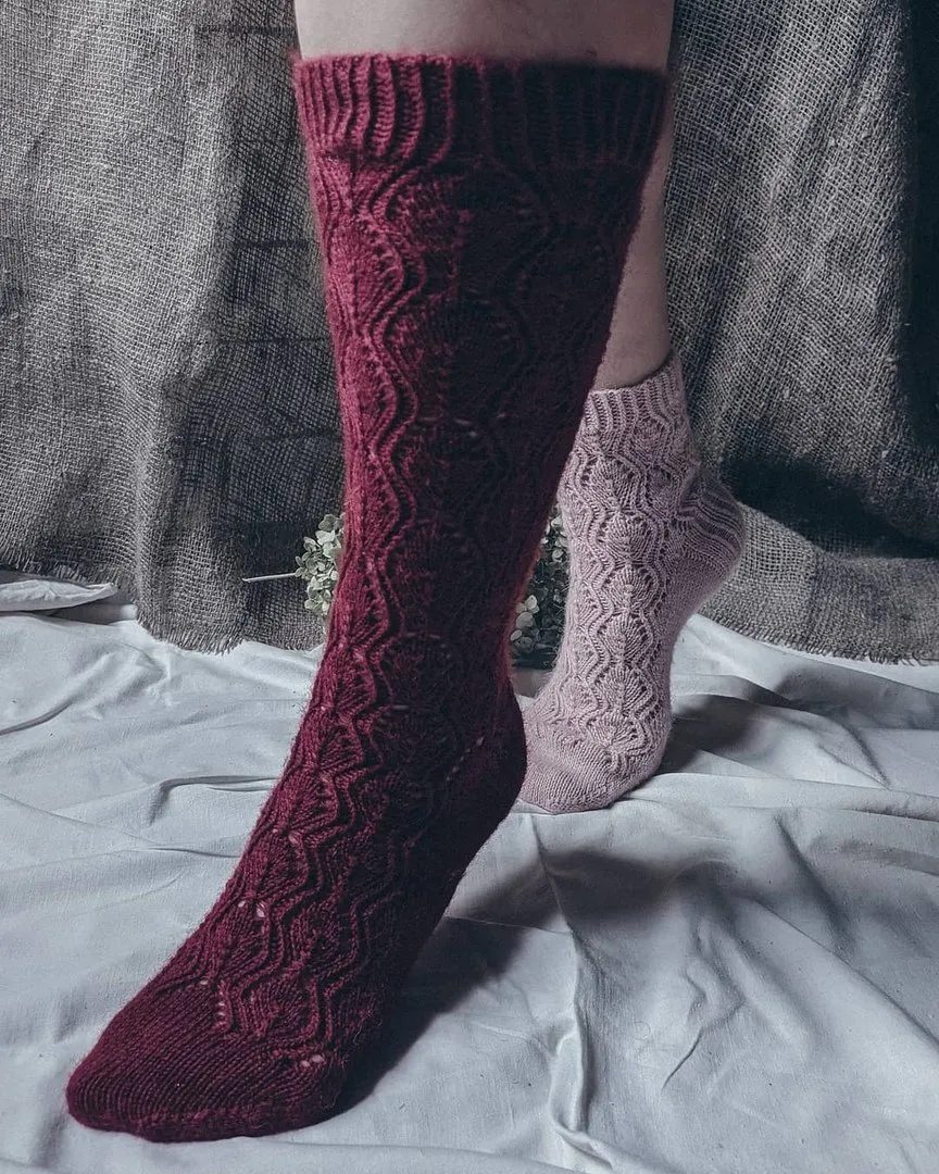 Носки Verbena (vata_knit)