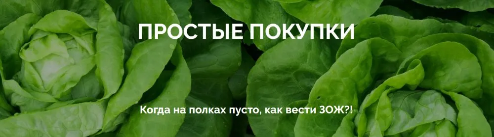 Вебинар «Простые покупки» (Юлия Дашевски)