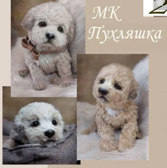 Пухляшка (Валентина Крижановская)