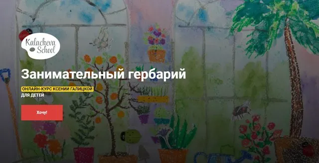 Детский онлайн-курс «Занимательный гербарий» (Ксения Галицкая)