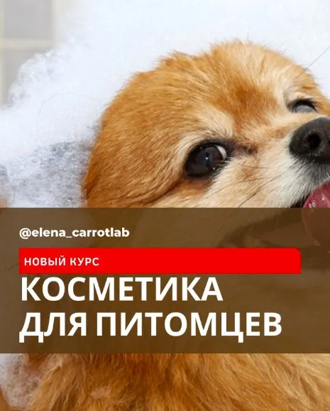 Косметика для питомцев (Елена Золотухина)