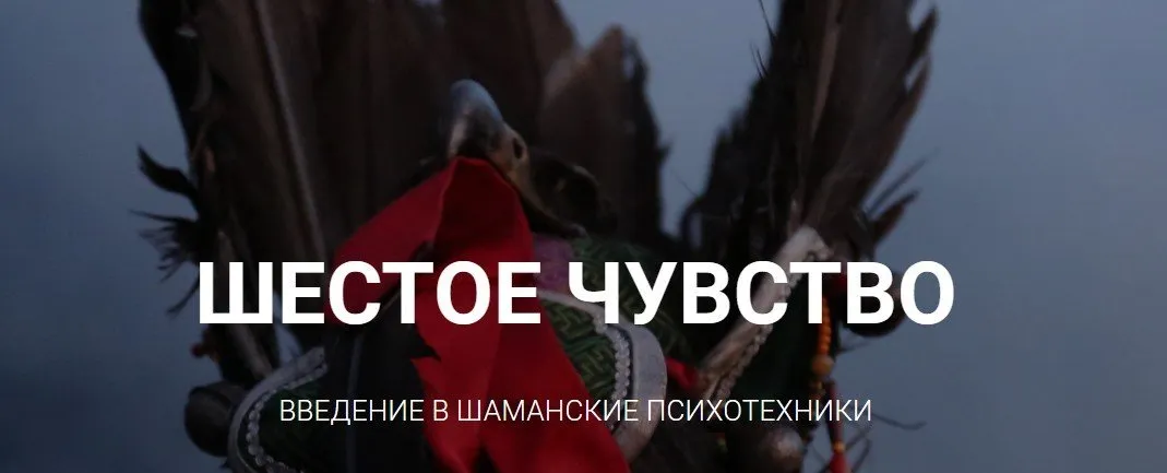 [НЛП] Шестое чувство. Пакет Эконом (Юрий Чекчурин, Ольга Парханович)