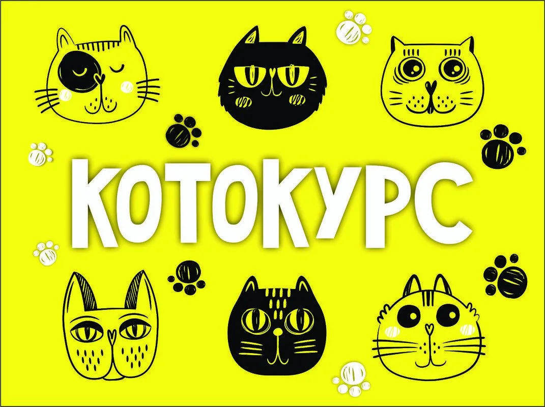 [MagicArt] Котокурс