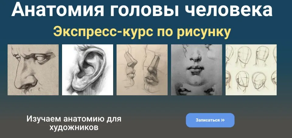 [ZartSchool]  Анатомия головы человека (Татьяна Зубова)