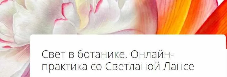 Свет в ботанике (Светлана Лансе)