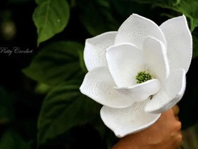 Magnolia Grandiflora Flower/Цветок магнолии крупноцветковой (HappyPattyCrochet)