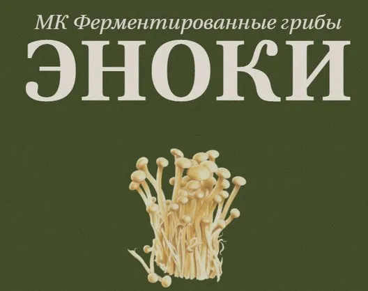 [fermentinwonderland.ru] Ферментированные грибы Эноки (Мария Сочилкина)