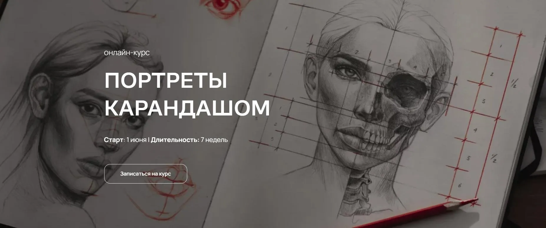 [septembrenell] Портреты карандашом. Тариф Душа компании (Ксюша Реин)