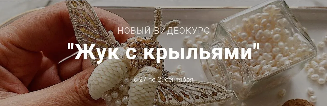 Жук с крыльями. Тариф основной (Эльза Бикметова)