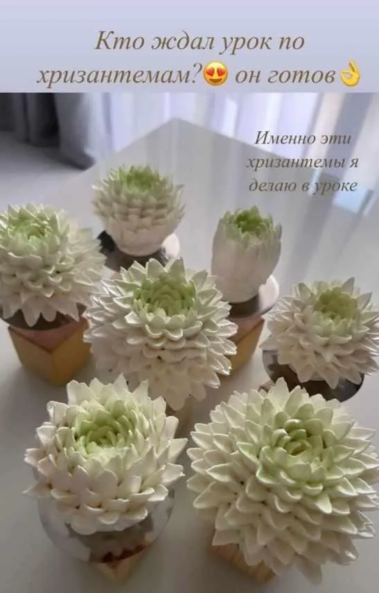 [buket_zefira_rnd] Хризантемы из зефира (Анна Иванова)
