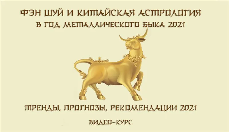 Фэн шуй и китайская астрология в год металлического быка 2021 (Юрий Сбитнев)