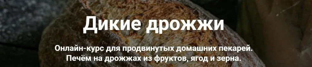 Дикие дрожжи (Ахмед Али-заде, Ольга Ткаченко)