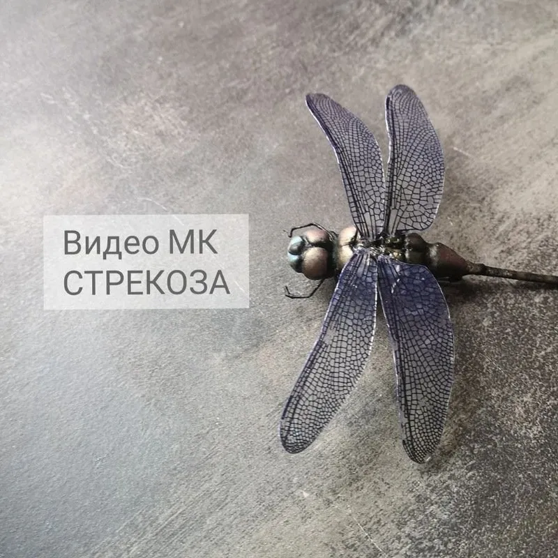 Стрекоза (Анна Рудая)