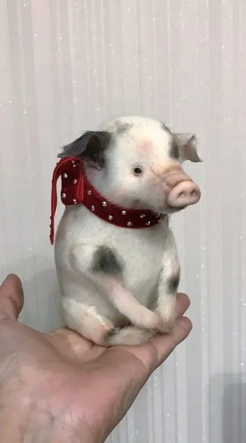 Мини хрюшка (Вера Калмыкова)