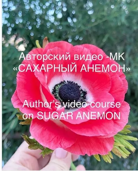 [Кондитерка] Видео МК Сахарный анемон (julija_2005)