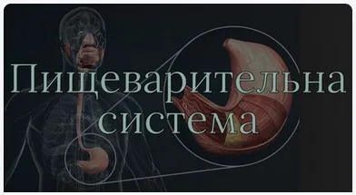 [Anatomy Education] Модуль 4. Пищеварительная система (Эдгар Кафаров)