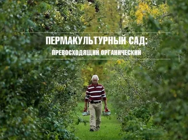 Пермакультурный сад: превосходящий органический (Стефан Собковиак)