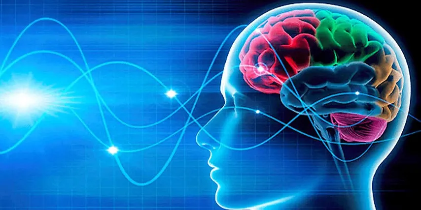 [Sigh Energy] Ультра нейропластичность | Ultra Neuroplasticity Powerful Plus+11x (Extra Strong)