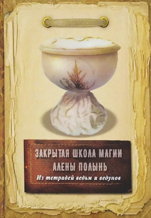 Из тетрадей ведьм и ведунов. Закрытая школа магии (Алена Полынь)