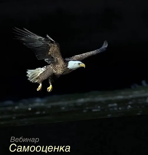 Самооценка. Тариф без обратной связи (Игорь Мочалов)