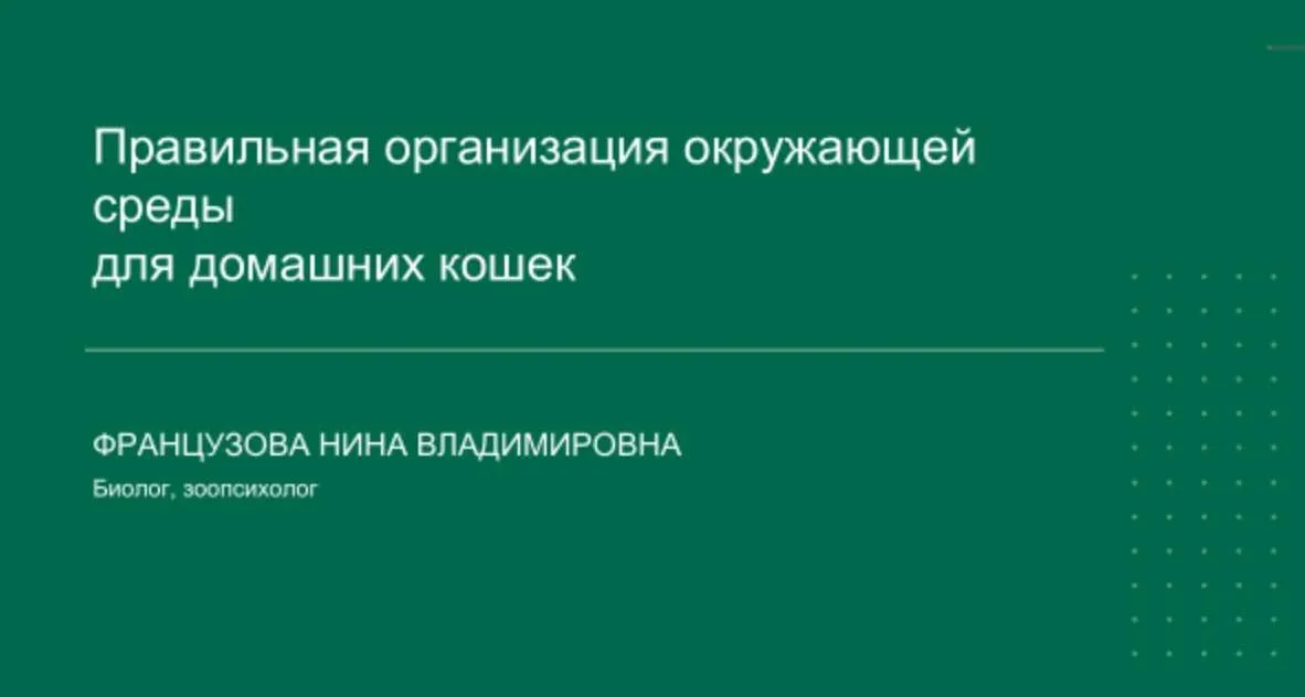 Правильная организация окружающей среды для домашних кошек (Нина Французова)