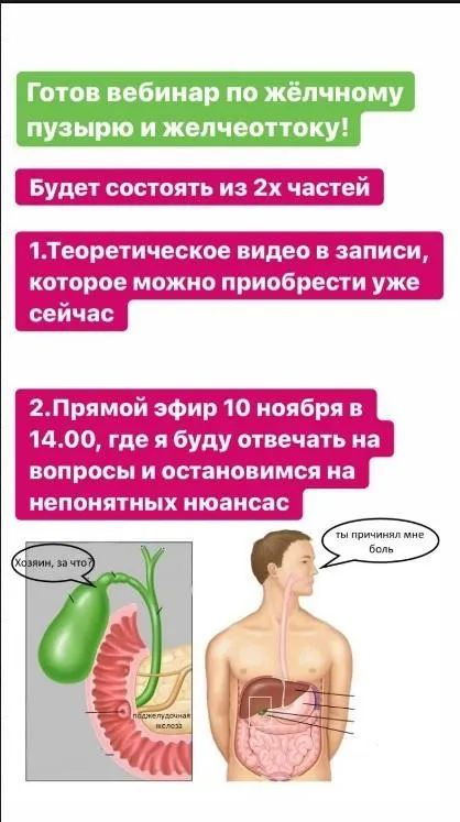 Желчный пузырь и отток желчи (Дарья Ермишина)
