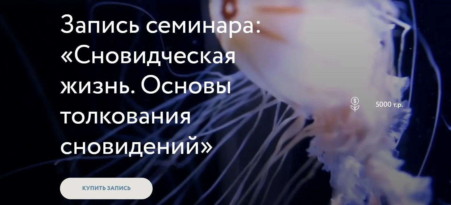 Сновидческая жизнь. Основы толкования сновидений (Стелла Гусарова)