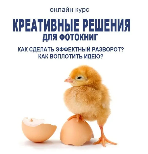 [Фотокниги] Креативные решения для фотокниг. Визуальное воплощение идеи. Креатив (Елена Виноградова)