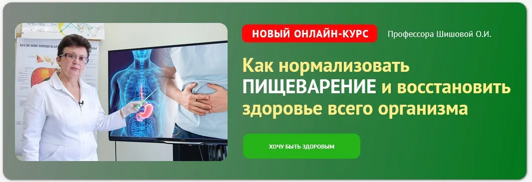 Как нормализовать пищеварение и восстановить здоровье всего организма (Ольга Шишова)
