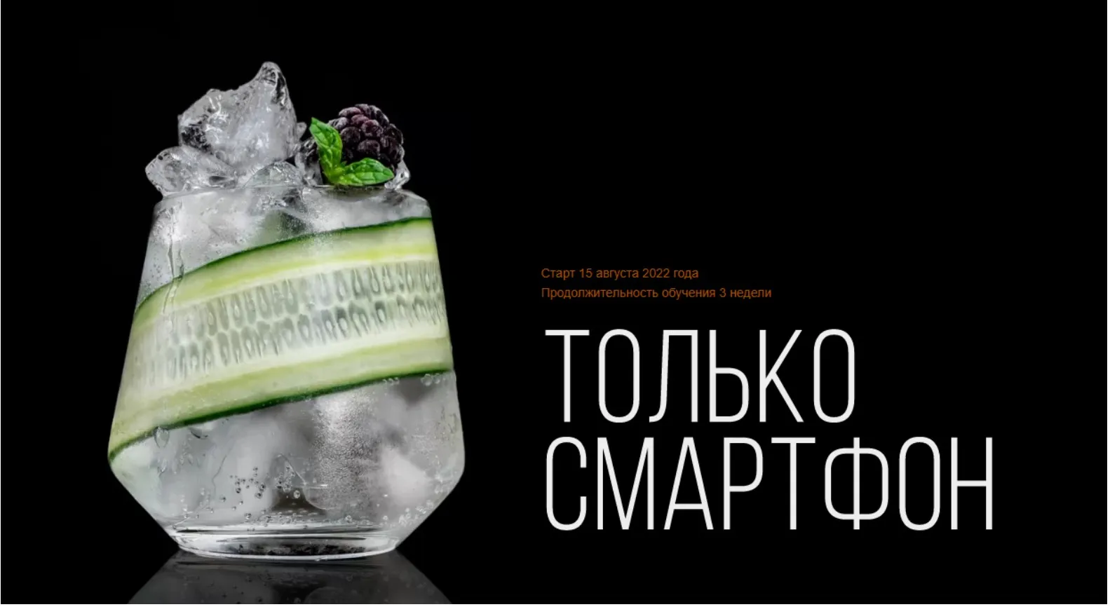 Только Смартфон. Тариф Стандарт (Анастасия Максимова)